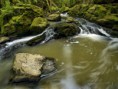 /album/fotogalerie-honza-zboril/a6252164wildriveruu-jpg/