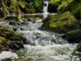 /album/fotogalerie-honza-zboril/a6252132wildriveruuu-jpg/