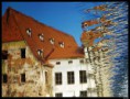 /album/fotogalerie-honza-zboril/a233283odraz1-jpg/