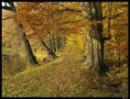 /album/fotogalerie/b063358pod1-jpg1/