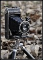 /album/fotogalerie-vaclav-hruska/foto-01-jpg/