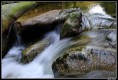 /album/fotogalerie-vaclav-hruska/foto-08-jpg/