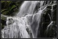 /album/fotogalerie-vaclav-hruska/foto-10-jpg/