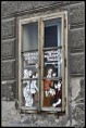 /album/fotogalerie-vaclav-hruska/foto-12-jpg/
