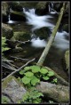 /album/fotogalerie-vaclav-hruska/huntava-v-jesenikach-jpg/